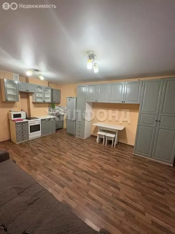 Квартира-студия: Новосибирск, улица Татьяны Снежиной, 21/1 (32.4 м) - Фото 1