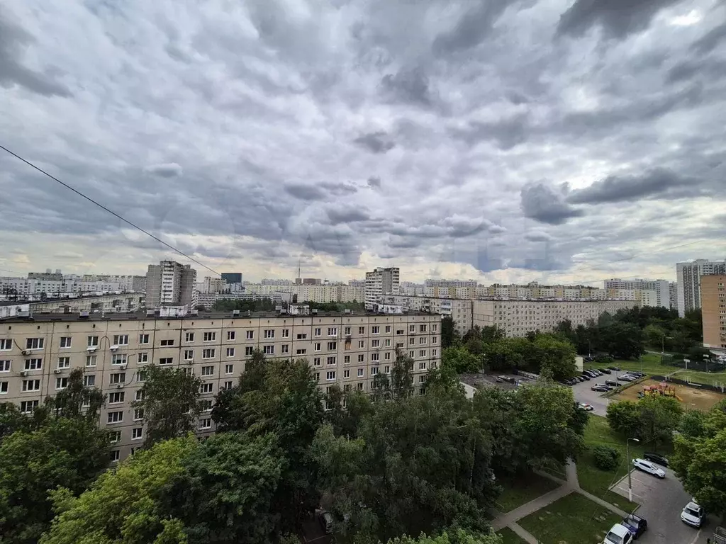 2-к. квартира, 52 м, 11/11 эт. - Фото 1