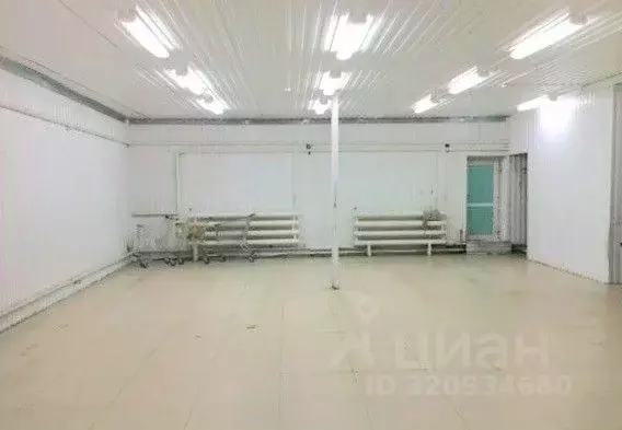 Помещение свободного назначения в Ямало-Ненецкий АО, Новый Уренгой ... - Фото 1