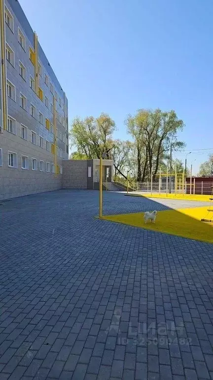 1-к кв. Московская область, Жуковский ул. Наркомвод, 31 (33.0 м) - Фото 1