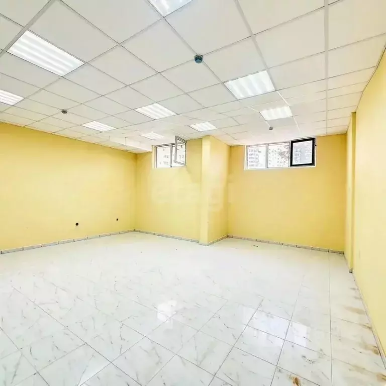 Помещение свободного назначения в Краснодарский край, Геленджик ул. ... - Фото 1