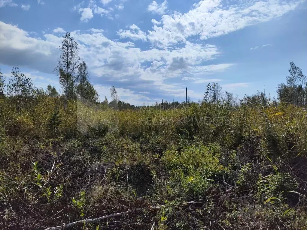 Участок в Тюменская область, Нижнетавдинский муниципальный округ, ... - Фото 1