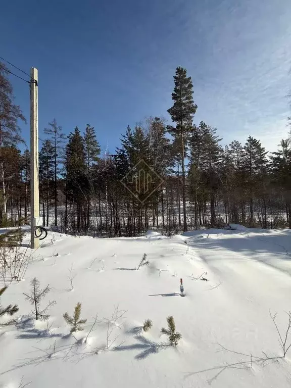 Участок в Иркутская область, Иркутский муниципальный округ, д. ... - Фото 2