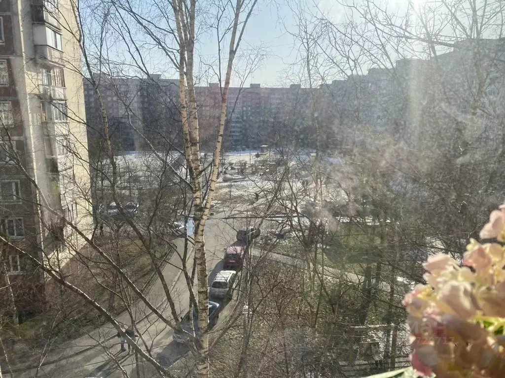 3-к кв. Санкт-Петербург ул. Чудновского, 8К1 (58.6 м) - Фото 1