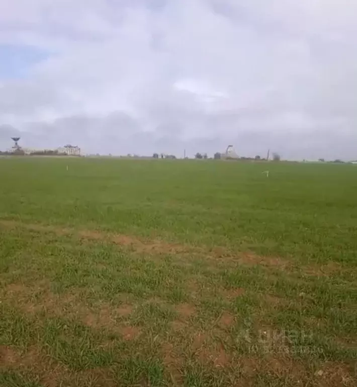 Участок в Крым, Сакский район, Молочненское с/пос, с. Витино  (9.23 ... - Фото 1