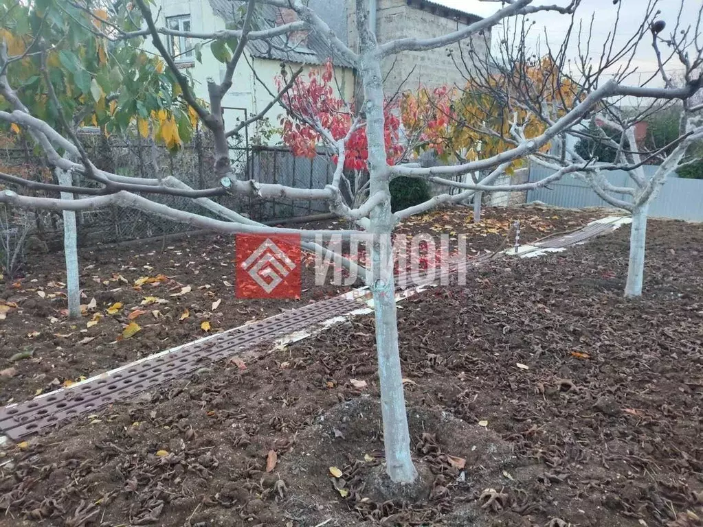 Участок в Севастополь Балаклавский муниципальный округ, Родник ТСН, ... - Фото 2