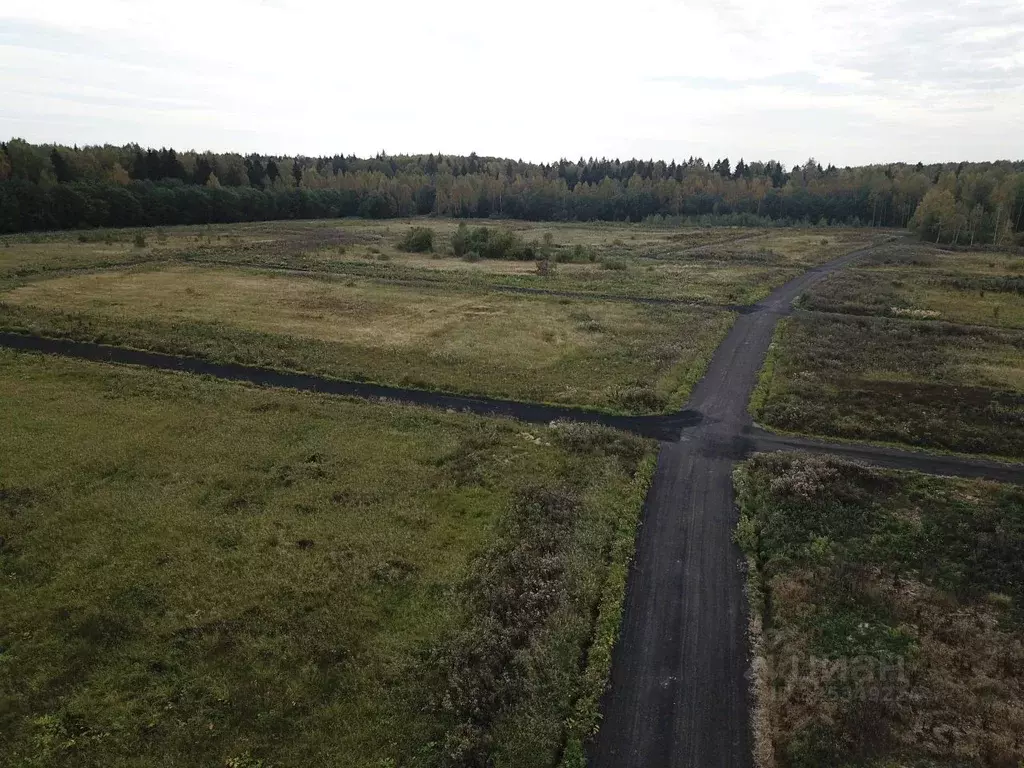 Участок в Московская область, Клин городской округ, д. Давыдково  ... - Фото 2
