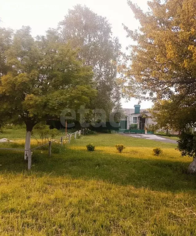 Дом в Брасовский район, рабочий посёлок Локоть, 1-й переулок ... - Фото 2