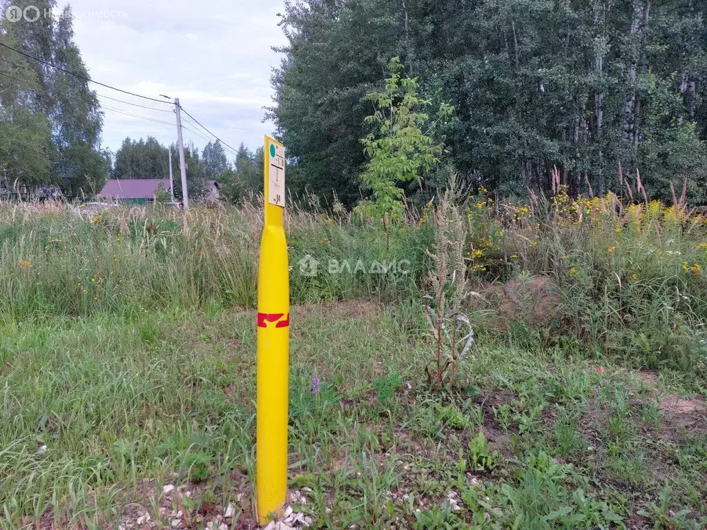 Участок в Владимир, Аграрная улица (7.45 м) - Фото 0