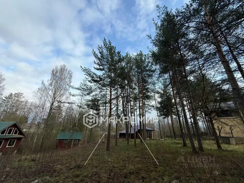 Участок в Ленинградская область, Всеволожский район, Сертоловское ... - Фото 1