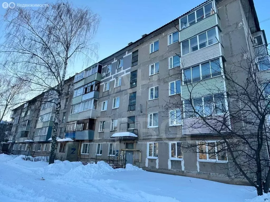 2-комнатная квартира: Ряжск, Высотная улица, 5 (44.6 м) - Фото 2