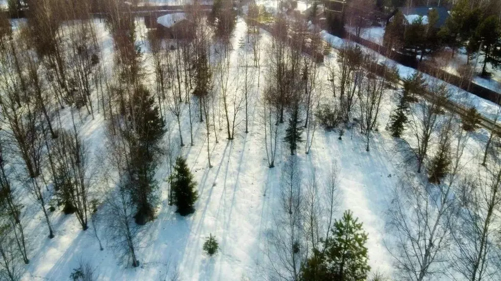 Участок в Калужская область, Тарусский муниципальный округ, Волковское ... - Фото 2
