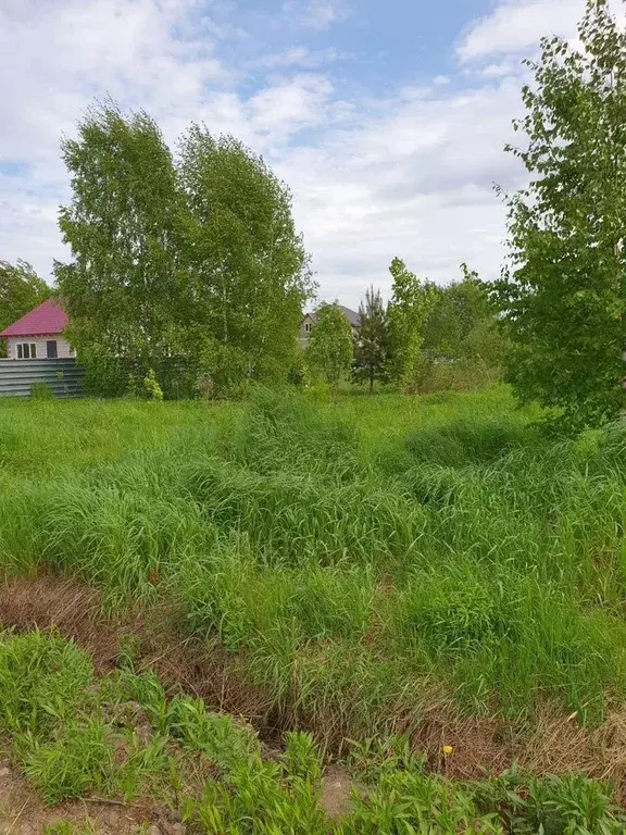 Участок в Московская область, Павлово-Посадский городской округ, д. ... - Фото 2