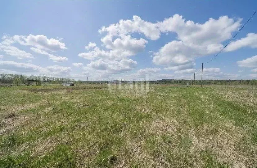 Участок в Пермский край, Пермский муниципальный округ, д. Большакино, ... - Фото 1