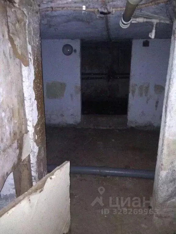 Помещение свободного назначения в Пермский край, Пермь ул. Степана ... - Фото 1