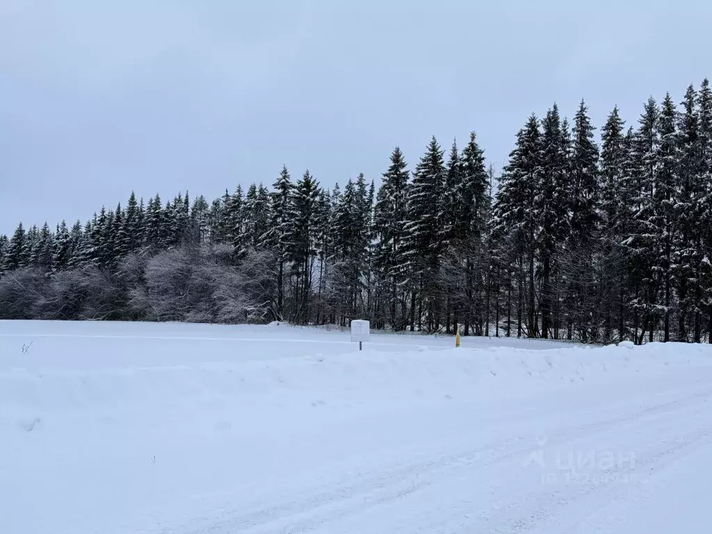 Участок в Кировская область, Слободской район, д. Шихово ул. Лесная ... - Фото 1
