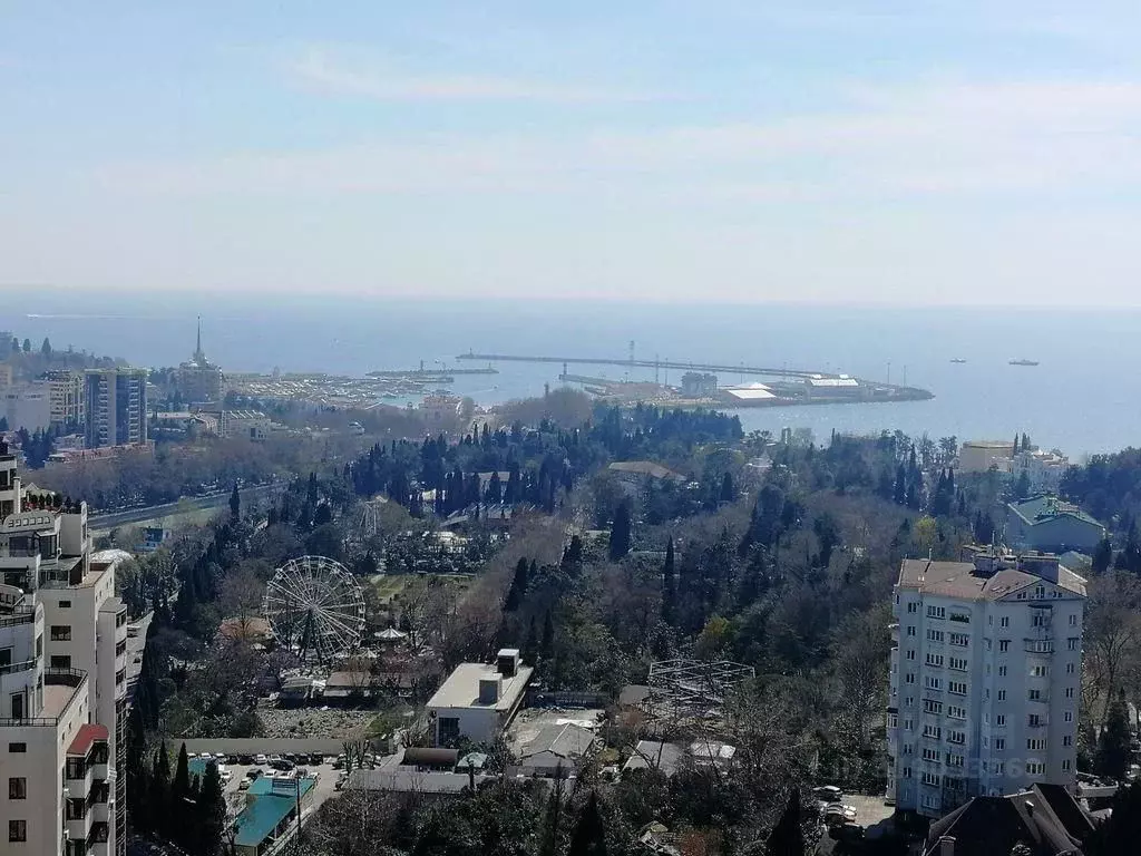 2-к кв. Краснодарский край, Сочи Виноградная ул., 2б (60.0 м) - Фото 1