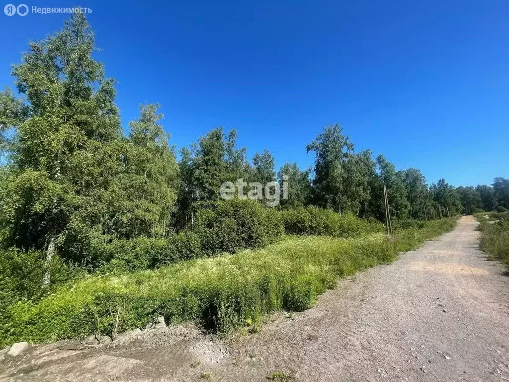 Участок в Ларионовское сельское поселение, ДНП Финский Хутор-3 (38 м) - Фото 0