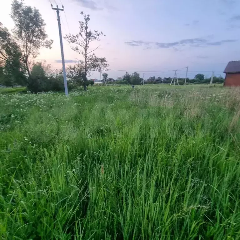 Участок 6 сот. (СНТ, ДНП) - Фото 0