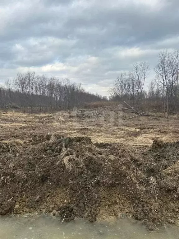 Участок в Сахалинская область, Анивский городской округ, с. ... - Фото 1