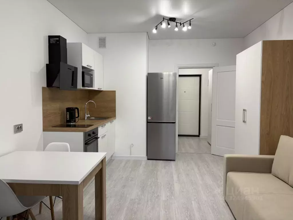 Студия Санкт-Петербург Светлановский просп., 14к1 (24.0 м) - Фото 1