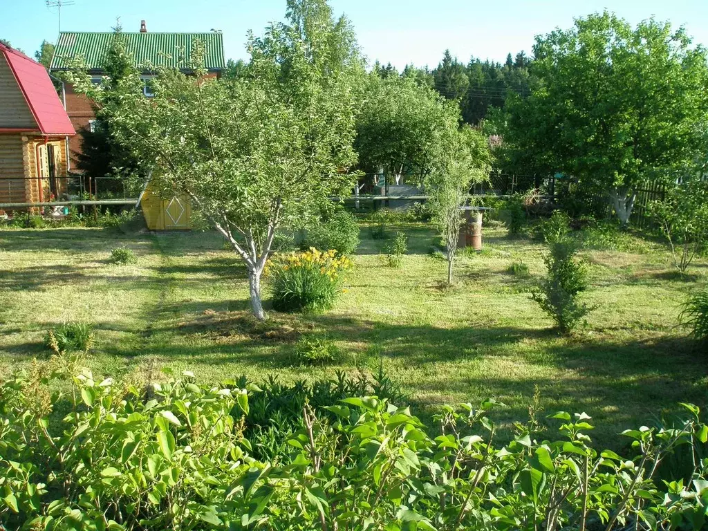 Участок 8 сот. (СНТ, ДНП) - Фото 1