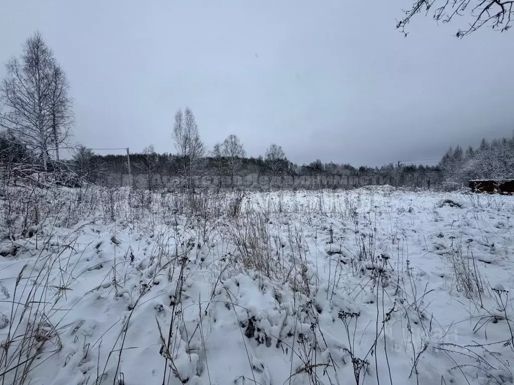 Участок в Смоленская область, Смоленский муниципальный округ, ... - Фото 2
