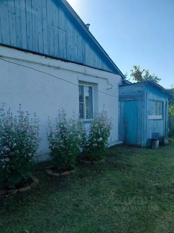 Дом в Курганская область, с. Сафакулево  (47 м) - Фото 2
