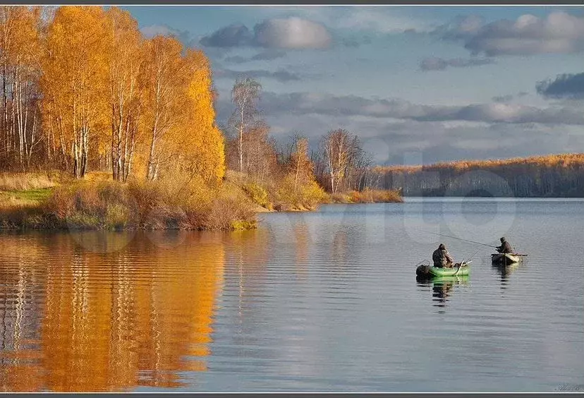 Участок 12га (СНТ, ДНП) - Фото 0