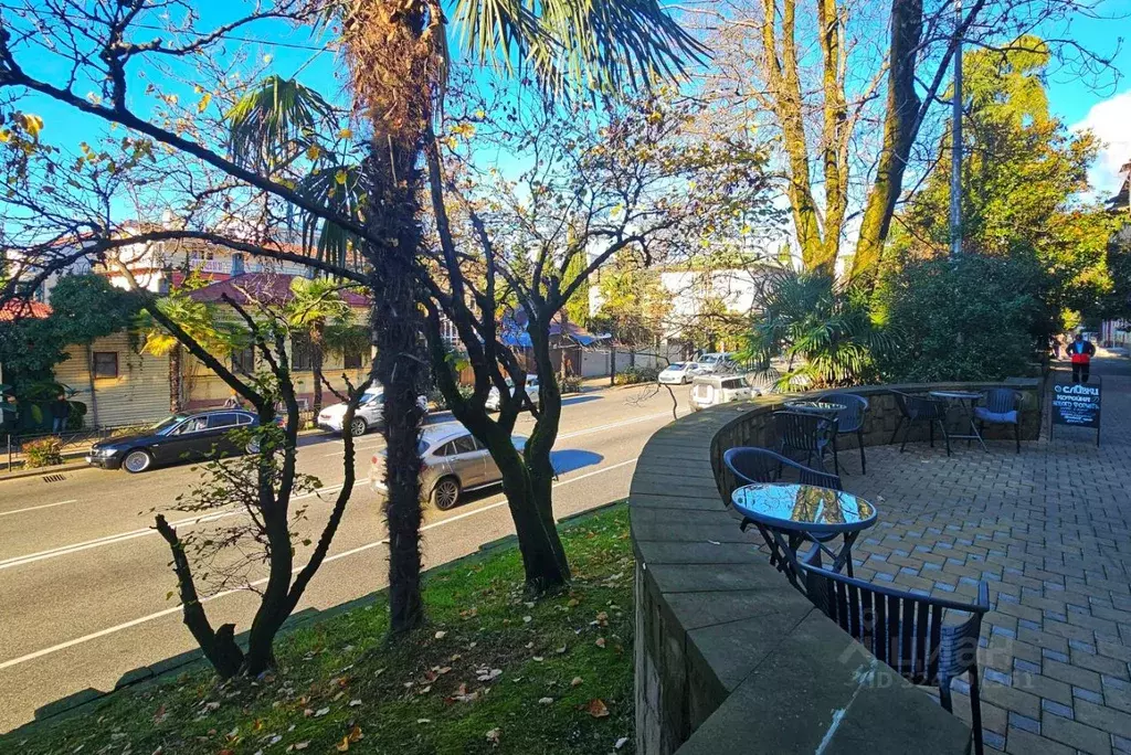 Помещение свободного назначения в Краснодарский край, Сочи Центральный ... - Фото 2