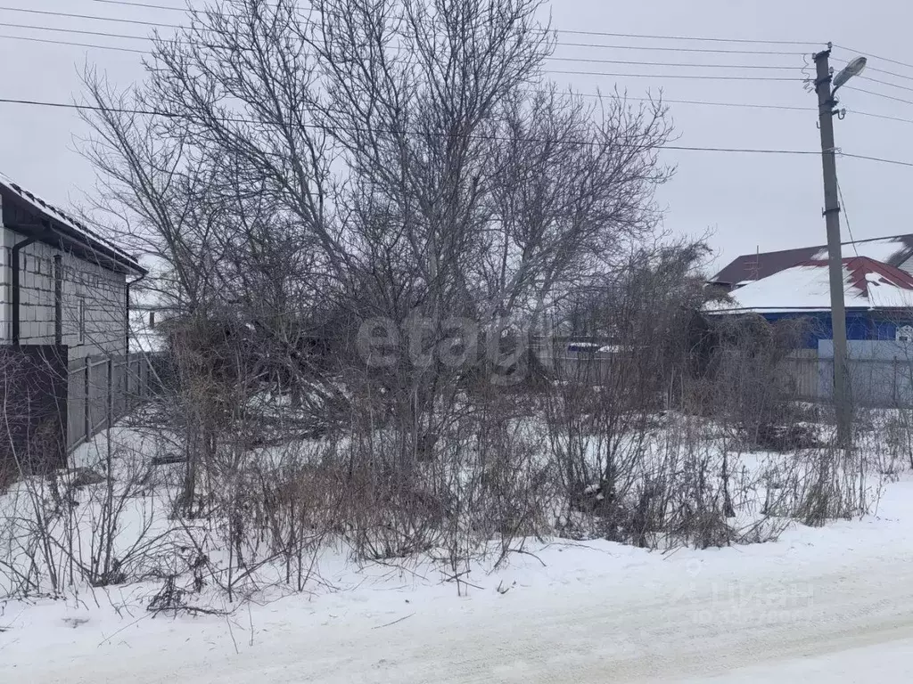 Участок в Белгородская область, Алексеевка ул. 7 Ноября, 31 (10.8 ... - Фото 2