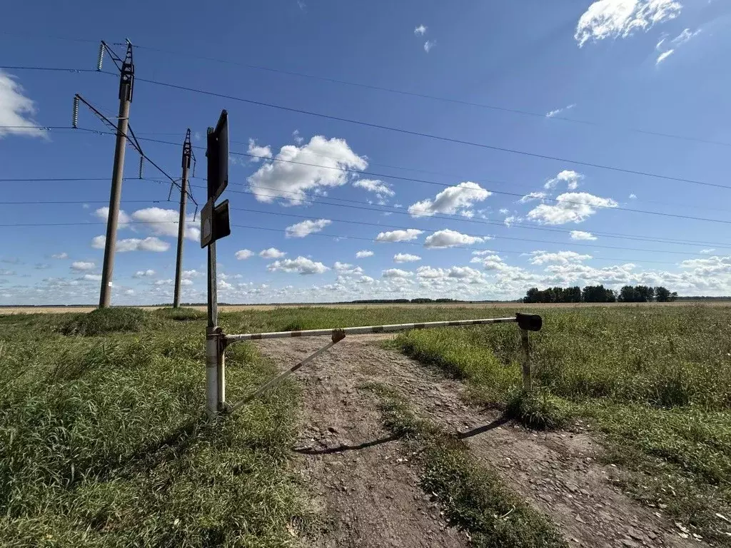 Дом в Омская область, Кормиловский район, Электромера-3 СНТ  (30 м) - Фото 2