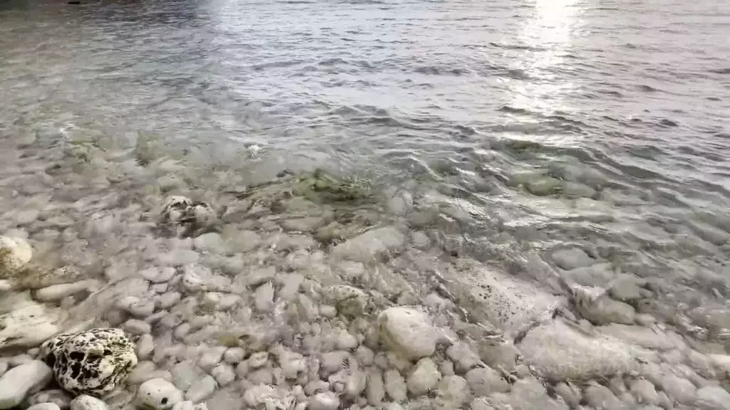 2-к кв. Крым, Ялта муниципальный округ, Гурзуф пгт ул. 60 лет СССР, 13 ... - Фото 2