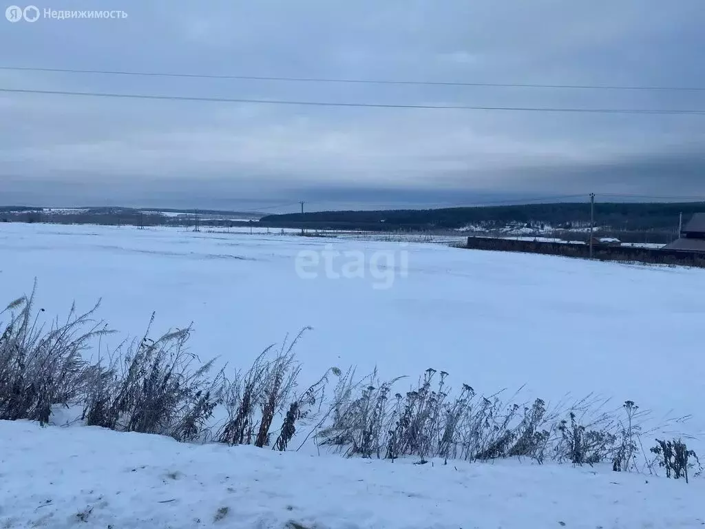 Участок в Нижегородская область, Дальнеконстантиновский муниципальный ... - Фото 0