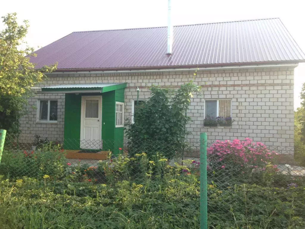 Дом в село Буздяк, улица Габдрашитова, 38 (97.8 м) - Фото 1