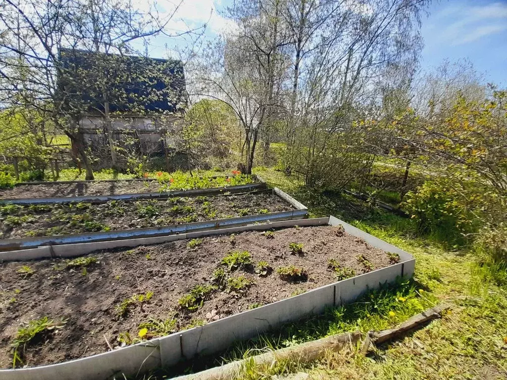 Участок в деревня Новая Мельница, Новгородская улица (5 м) - Фото 0