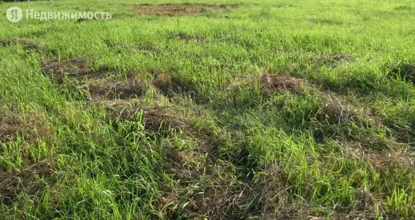 Дом в Кунашакский район, деревня Усманова, улица Ударников, 1 (80 м) - Фото 1
