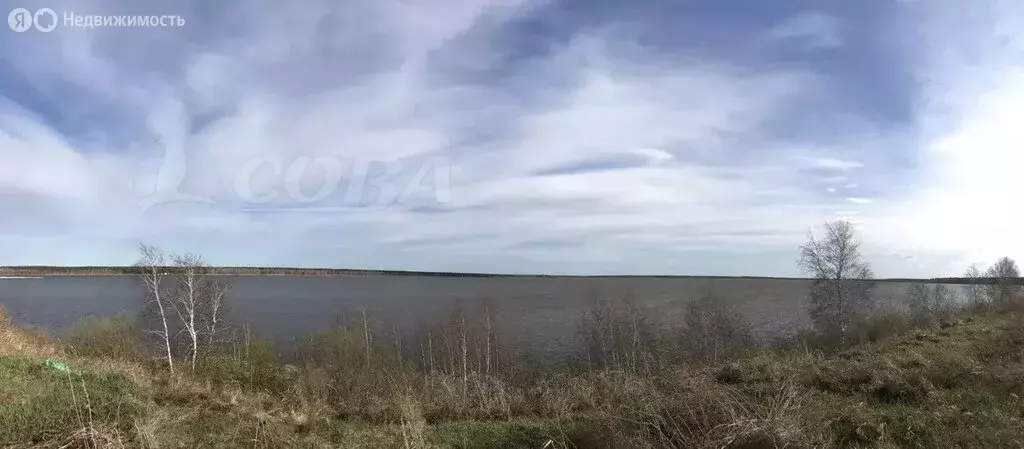 Участок в Ялуторовский район, село Сингуль Татарский (16 м) - Фото 0