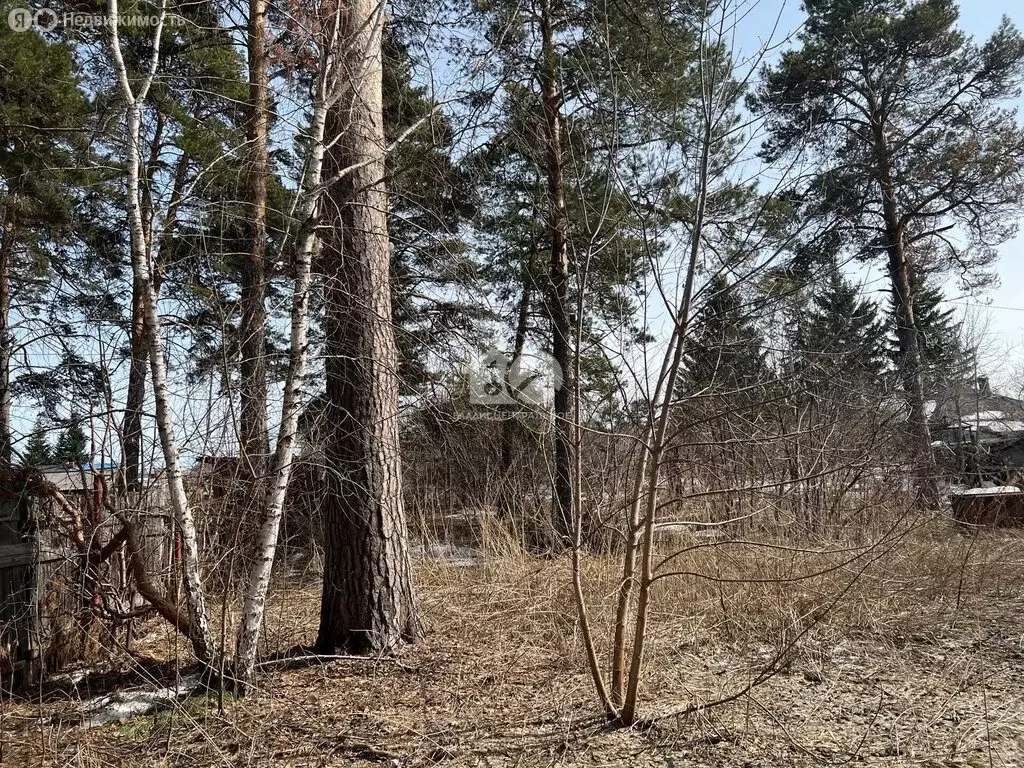 Участок в село Морозово, Лесная улица, 22 (42.1 м) - Фото 2