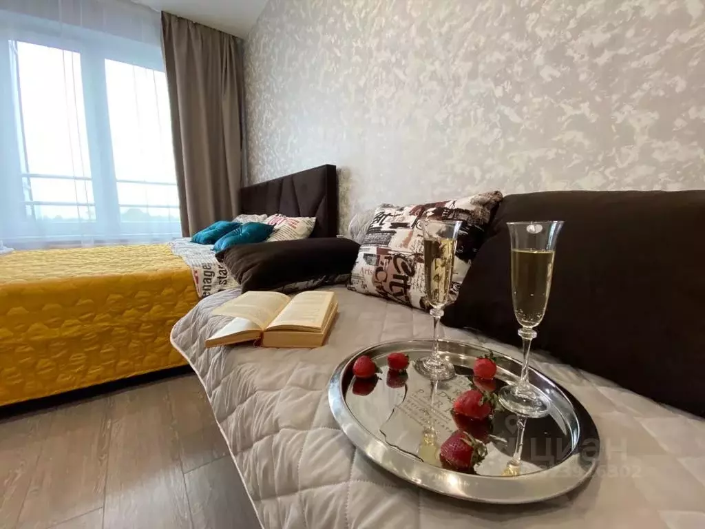 1-к кв. Ленинградская область, Гатчина ул. Чехова, 43к1 (42.0 м) - Фото 2