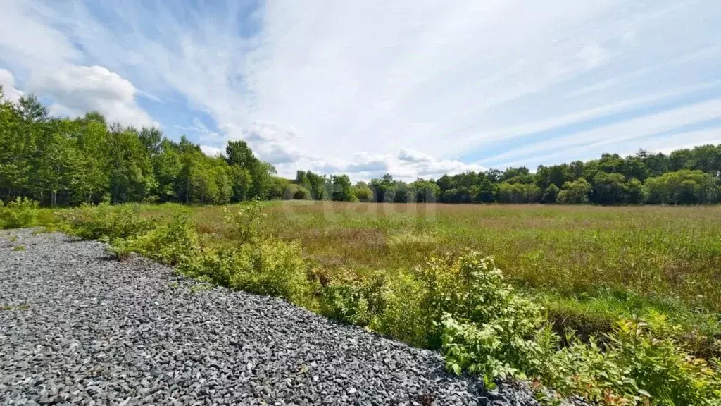 Участок в Сахалинская область, Южно-Сахалинск городской округ, с. ... - Фото 2