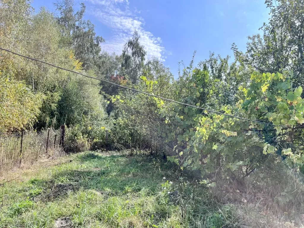 Дом в Орловская область, Орел Березовая ул., 86 (61 м) - Фото 1