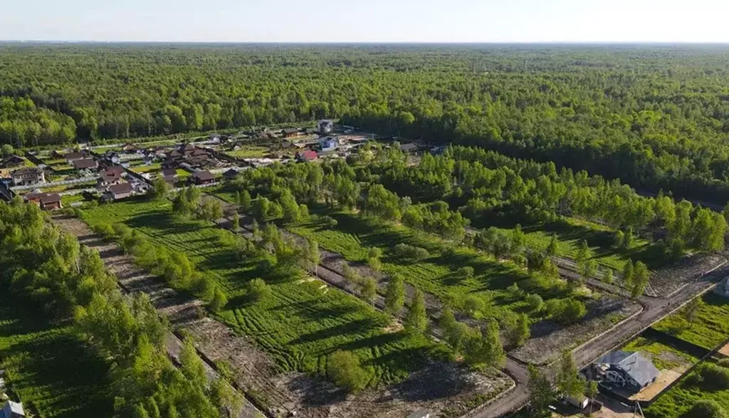 Участок в Ленинградская область, Всеволожский район, Рахьинское ... - Фото 0