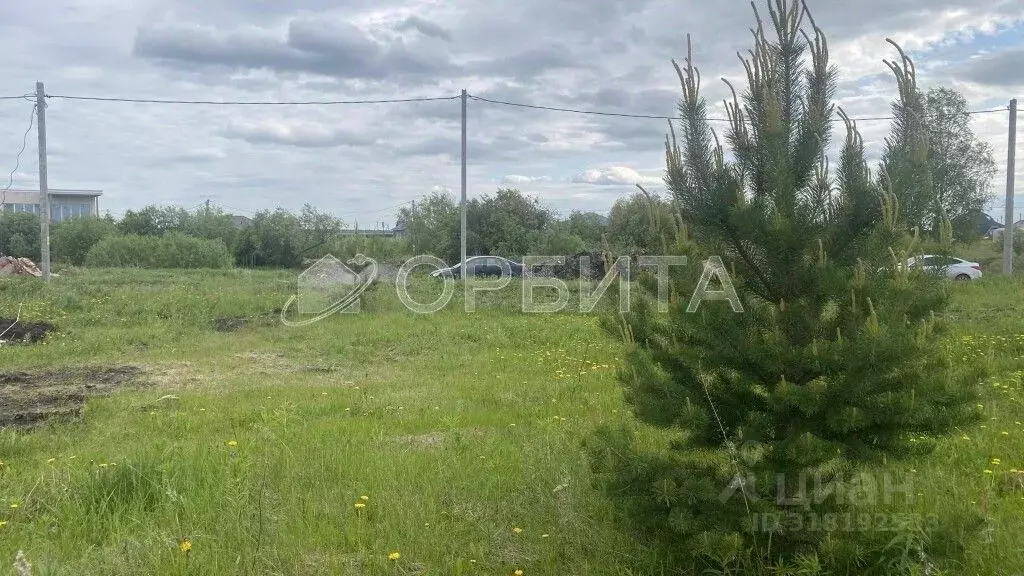 Участок в Тюменская область, Тюменский район, д. Елань  (7.96 сот.) - Фото 0