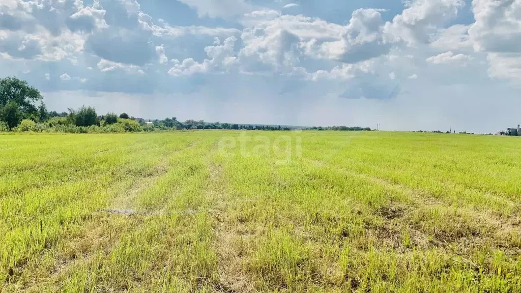 Участок в Тульская область, Новомосковск Сокольники мкр,  (813.4 сот.) - Фото 0