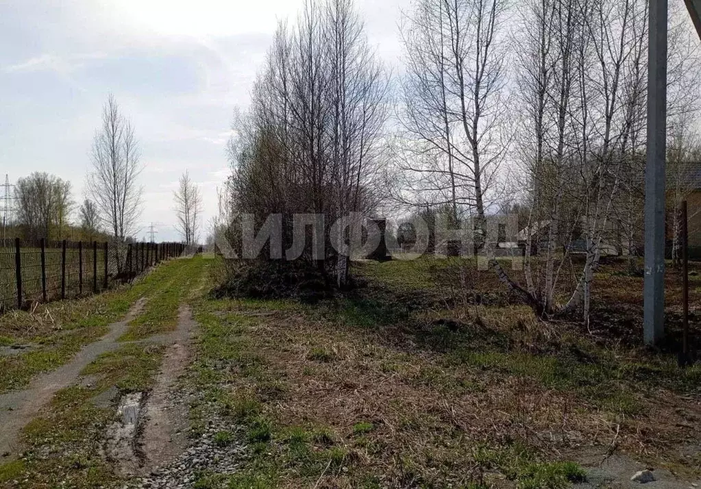 Участок в Новосибирская область, Новосибирский район, Барышевский ... - Фото 0