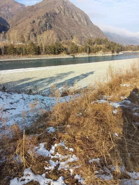 Участок в Алтай, Чемальский район, с. Чемал  (10.0 сот.) - Фото 2
