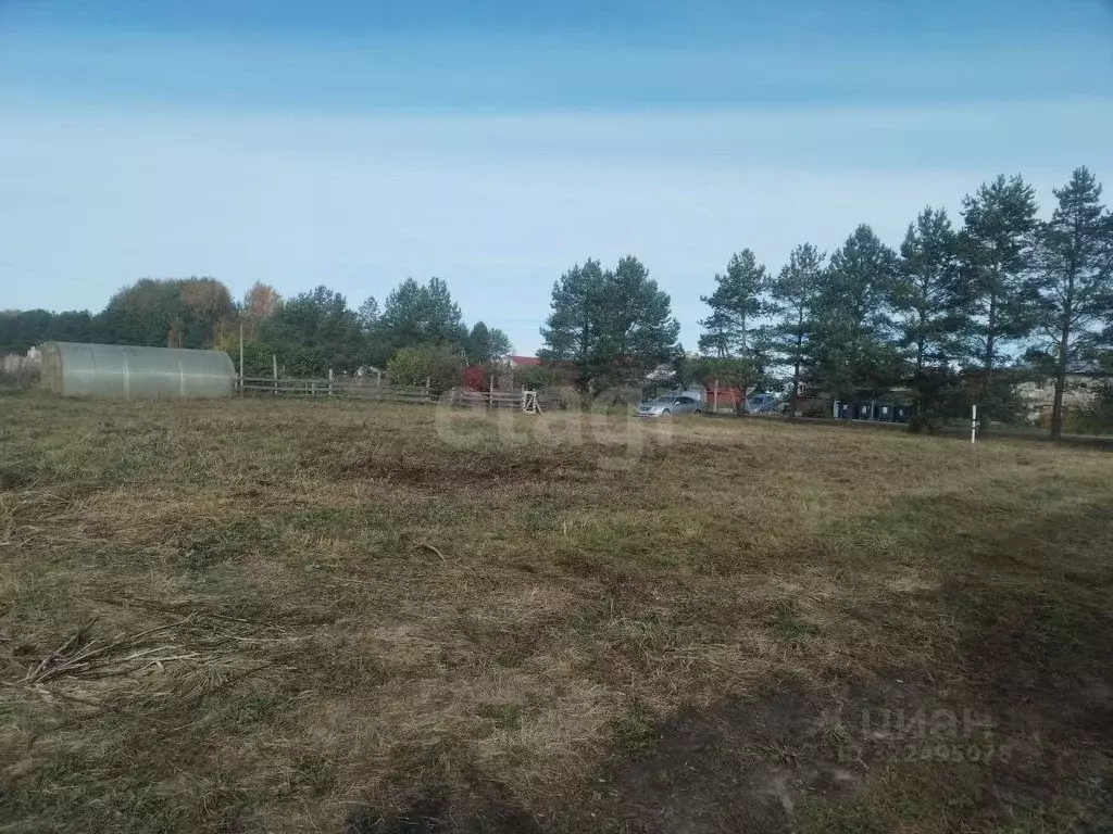 Участок в Вологодская область, д. Новое (Борисовский сельсовет)  (19.0 ... - Фото 2