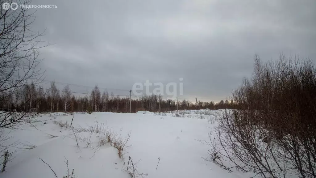 Участок в Томский район, ДНТ Уютный, улица Алексея Иванова (10.2 м) - Фото 1