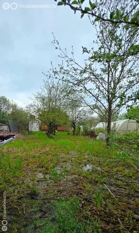 Дом в Нижний Новгород, СНТ Сокол, Сад № 4, 88 (40 м) - Фото 2